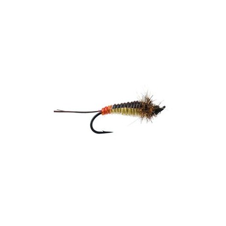 Giant Yellow Bodyglass Stonefly