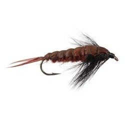 Realistic Giant Dark Stonefly