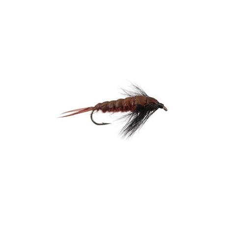 Realistic Giant Dark Stonefly