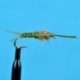 Woven Stone Fly Nymph Olive