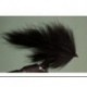 Black Bunny Leech