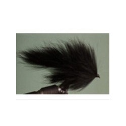 Black Bunny Leech