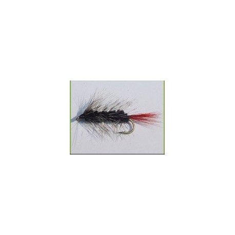 Black Woolyworm