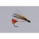 Black Nosed Dace