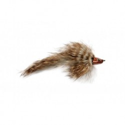 Brown Sculpinator