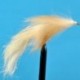 Bunny Leech Ginger