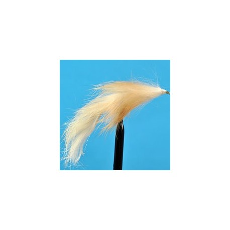 Bunny Leech Ginger